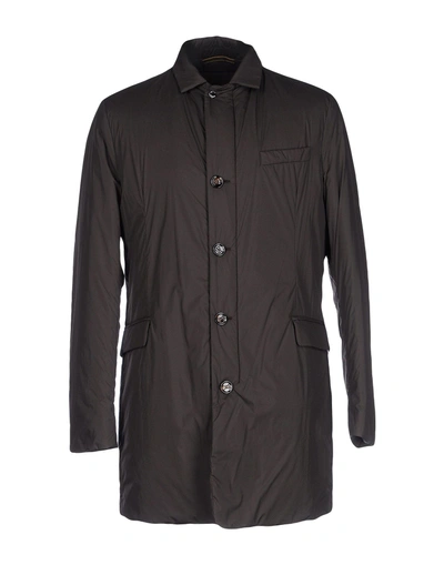 Moorer Down Jacket In Dark Brown