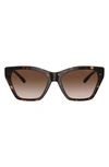 Emporio Armani 55mm Gradient Cat Eye Sunglasses In Shiny Hava