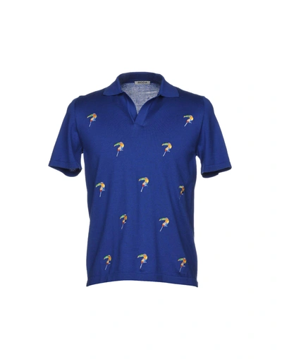 Roda Polo Shirts In Blue