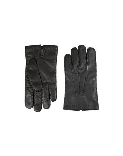 Dents Gloves In Black