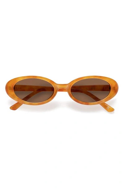 Aire Fornax Oval Sunglasses In Vintage Tortoiseshell-brown