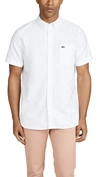 Lacoste Button Down Collar Short Sleeve Oxford Shirt In White