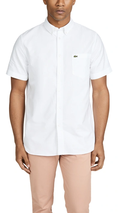 Lacoste Button Down Collar Short Sleeve Oxford Shirt In White