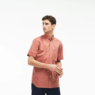 Lacoste Men's Regular Fit Gingham Poplin Shirt In Terre Cuite/pale Pink