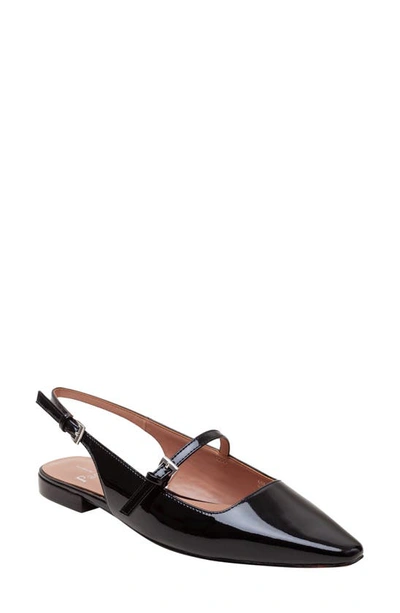 Linea Paolo Celeste Slingback Pointed Toe Flat In Black