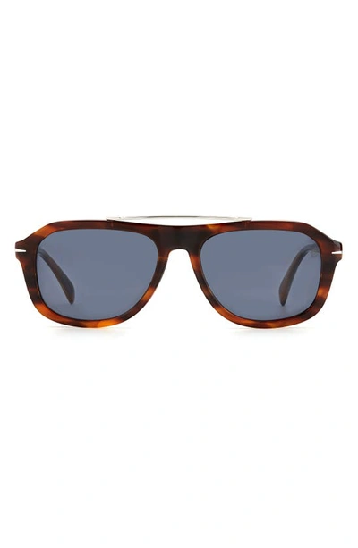 David Beckham Eyewear 54mm Aviator Sunglasses In Brown Horn/ Blue