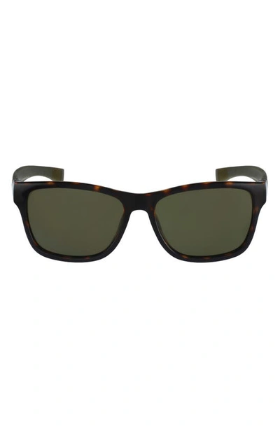 Lacoste 55mm Square Sunglasses In Green