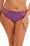 Elomi Charley Full Figure Mesh & Lace Brazilian Briefs In Pansy