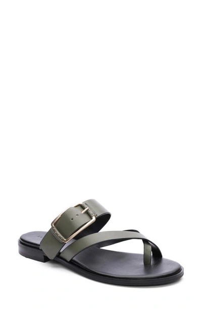 Sanctuary Spring Slide Sandal In Mossy Green