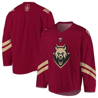 Adpro Sports Kids' Youth Maroon Albany Firewolves Sublimated Replica Jersey