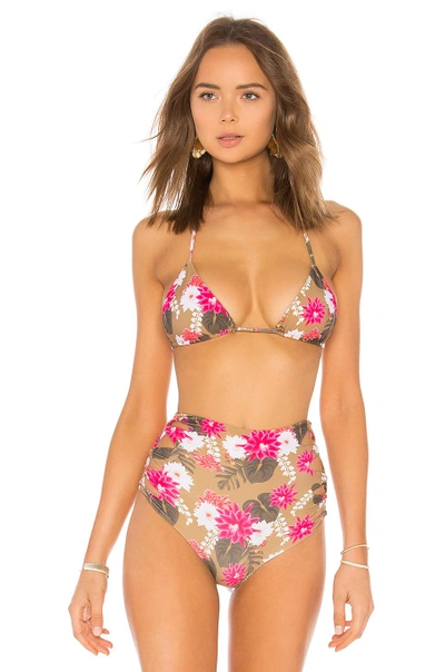 Acacia Swimwear Humuhumu Triangle Top In Tan