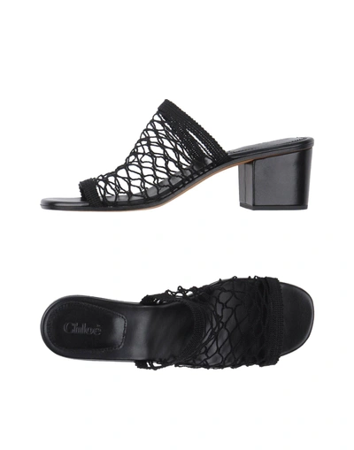 Chloé Sandals In Black