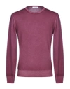 Cruciani Sweaters In Mauve