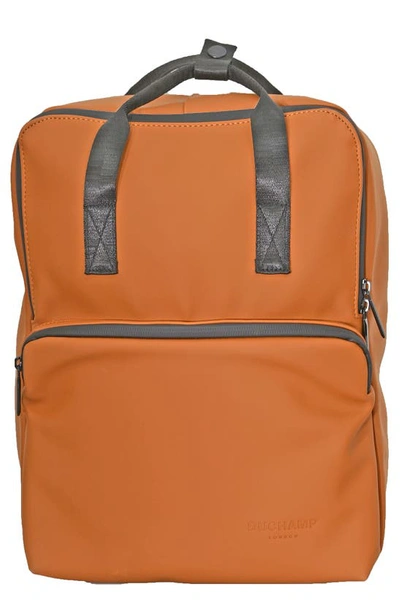 Duchamp Rubberized Computer Backpack In Sedona