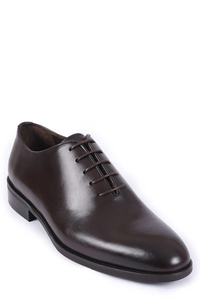Vellapais Peterson Leather Oxford In Chocolate Brown