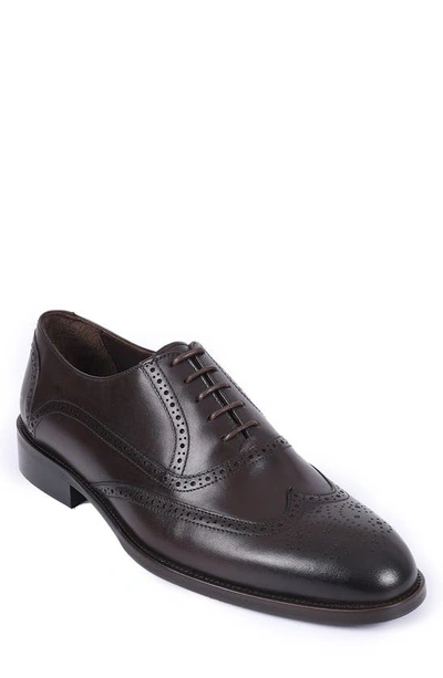 Vellapais Anderson Brogue Wingtip Oxford In Dark Brown