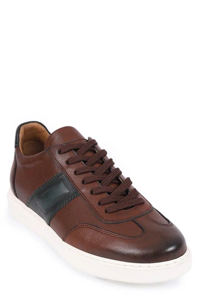 Vellapais Cordova Sneaker In Cognac