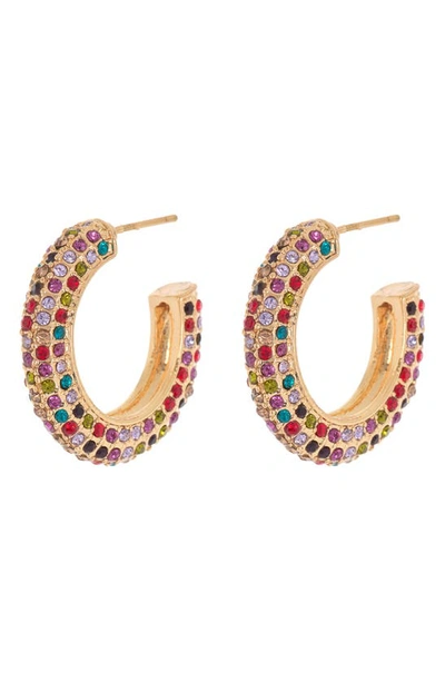 Tasha Pavé Crystal Hoop Earrings In Gold/ Multi