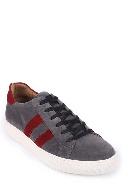 Vellapais Palmetto Sneaker In Grey