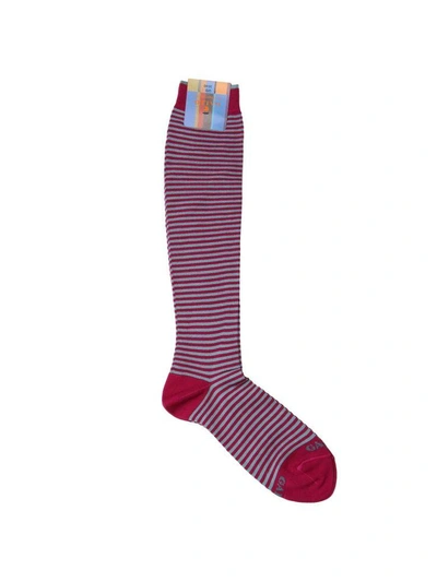 Gallo Socks Socks Women  In Fuchsia