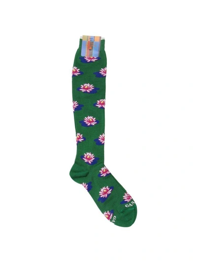 Gallo Socks Socks Women  In Green