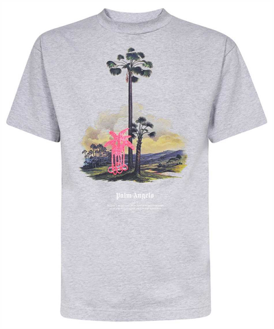 Palm Angels Douby Lost In Amazonia T-shirt In Grey