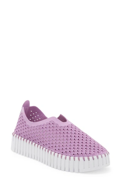 Ilse Jacobsen Tulip Sneaker In Purple