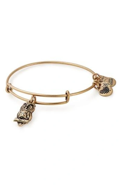 Alex And Ani Charity By Design Owl Charm Bracelet In Gold