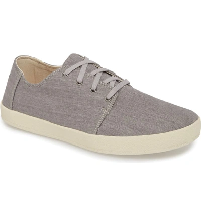 Toms Payton Sneaker In Grey Denim