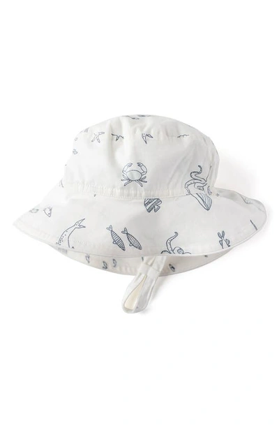 Pehr Babies' Life Aquatic Organic Cotton Bucket Hat