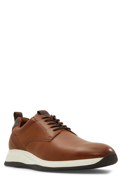 Aldo Grandspec In Brown