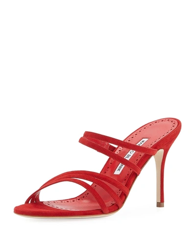 Manolo Blahnik Andena Suede Mule Sandal In Red