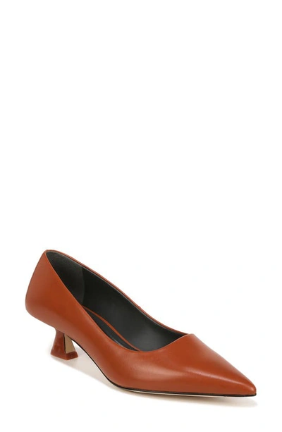 Sarto By Franco Sarto Diva Pointed Toe Pump In Terracotta