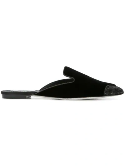 René Caovilla Velvet Mule With Crystal Trim In Black