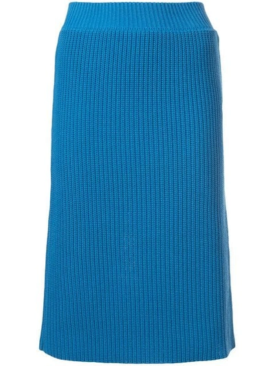 Calvin Klein 205w39nyc Ribbed Knitted Skirt - Blue