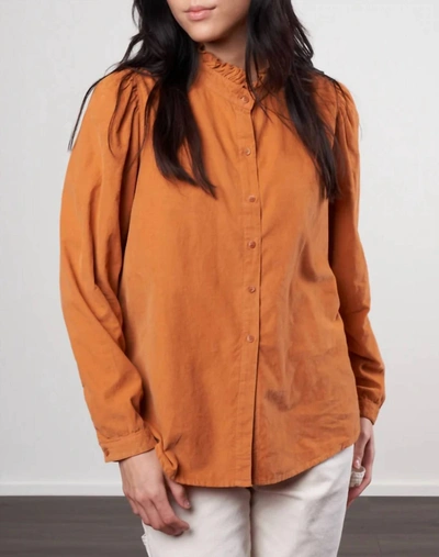 A Shirt Thing Peggy Baby Cord In Pumpkin In Multi