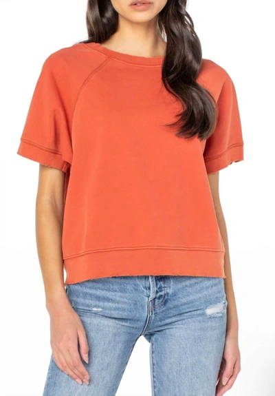 Serra The Wave In Terracotta In Brown