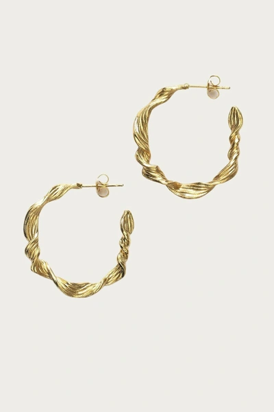 Anni Lu Seaweed Hoop In Gold