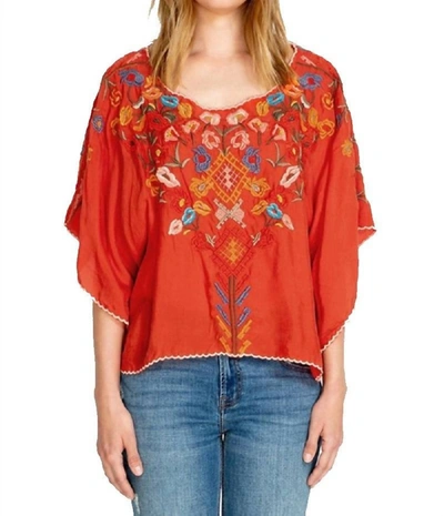 Johnny Was Lombriga Cupra Blouse In Lava In Black