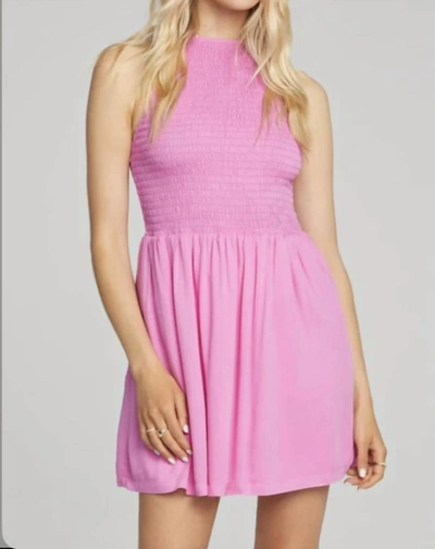 Saltwater Luxe Brynn Mini Dress In Azaela In Multi
