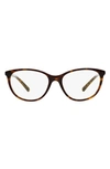 Burberry 52mm Square Optical Glasses In Dark Havana