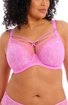 Elomi Brianna Underwire Strappy Plunge Bra In Very Pink