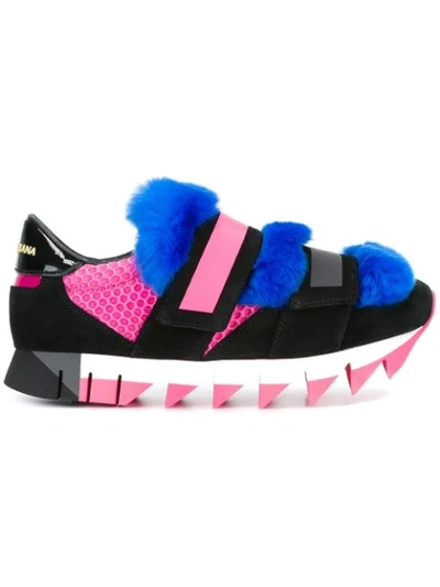 Dolce & Gabbana Fur-embellished Suede And Mesh Sneakers In Pink