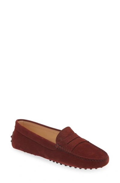 Tod's Women's City Gommini Driver Penny Loafers In Pomegranate Red