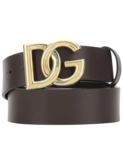 Dolce & Gabbana Tosca Belt In Brown