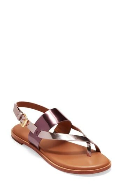 Cole Haan Anica Sandal In Cordovan/ Wild Ginger Leather