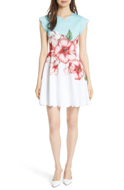 Ted Baker Maevea Nectar Scalloped Skater Dress In Pale Green