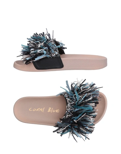 Coral Blue Sandals In Black