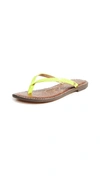 Sam Edelman Gracie Thong Sandals In Neon Yellow