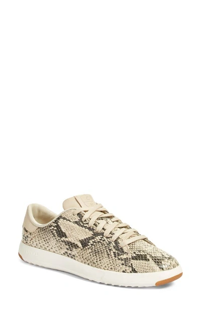Cole Haan Grandpro Tennis Sneaker In Roccia Snake Print Leather